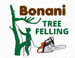 BONANI TREE FELLING